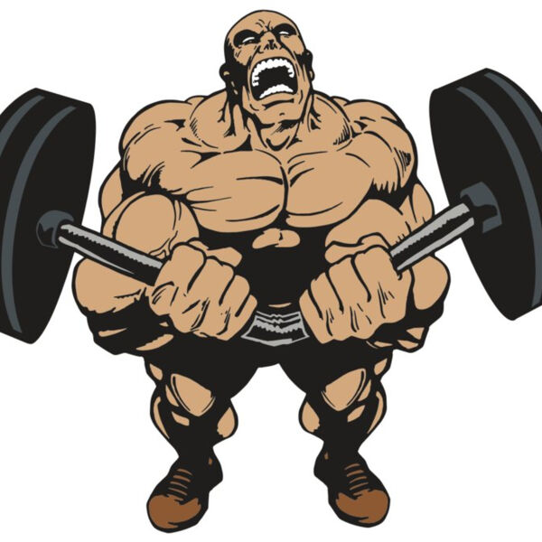 AR WEIGHTS 54 RC Thumbnail