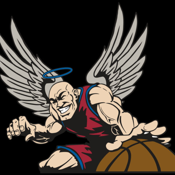 AR17 ANGEL BSKT 04 RQC Thumbnail