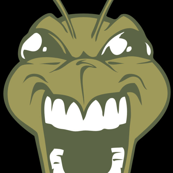 BAW BEE 13 RC Thumbnail