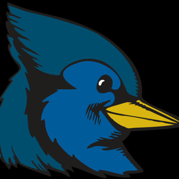 BAW BLUEJAY 07 RC Thumbnail