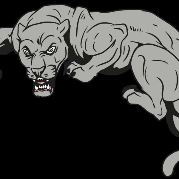 AR10 PANTHER 02 RQC Thumbnail