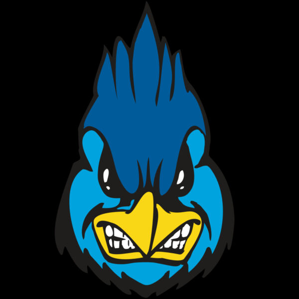 BAW BLUEJAY 02 RC Thumbnail