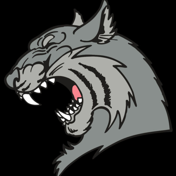 AR WILDCAT 41 RC Thumbnail