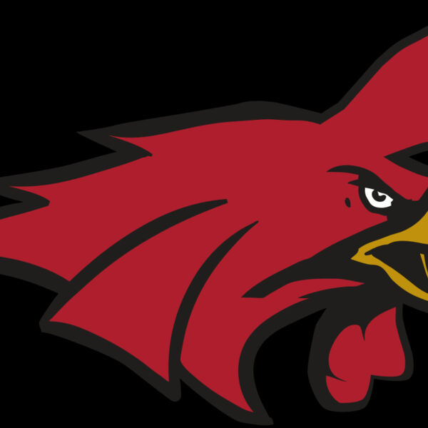 AR15 GAMECOCK 01 RQC Thumbnail