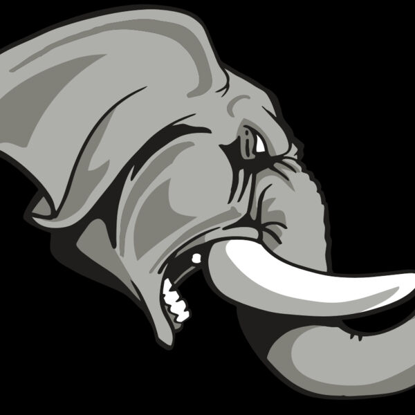 AR ELEPH 20 RC Thumbnail