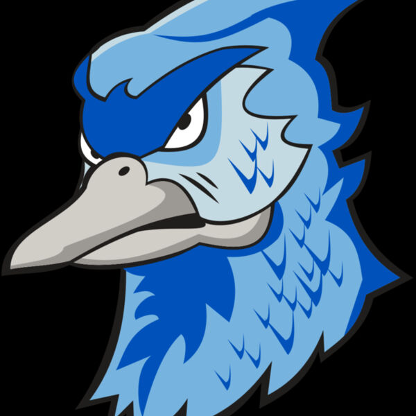 BLUEJAY HD0501 RQC Thumbnail