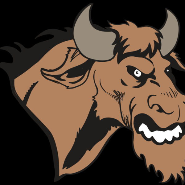 AR5 BULL 09 RQC Thumbnail