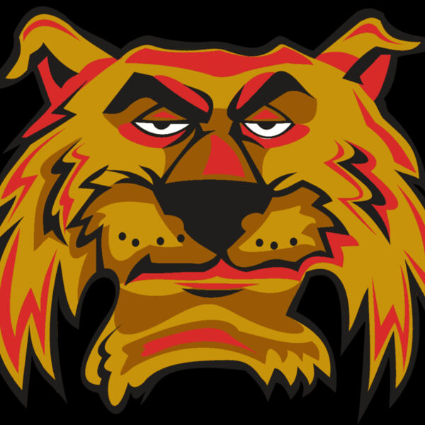 WILDCAT HD0503 RQC Thumbnail