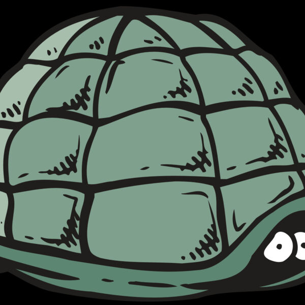 AR5 Turtle 10 RQC Thumbnail