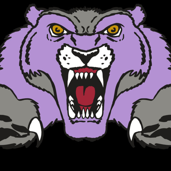 AR WOLVERINE 17 RC Thumbnail