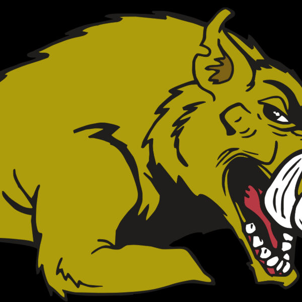 AR RAZORBACK 23 RC Thumbnail