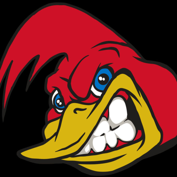 AR30 RRUNNER 03 RQC Thumbnail