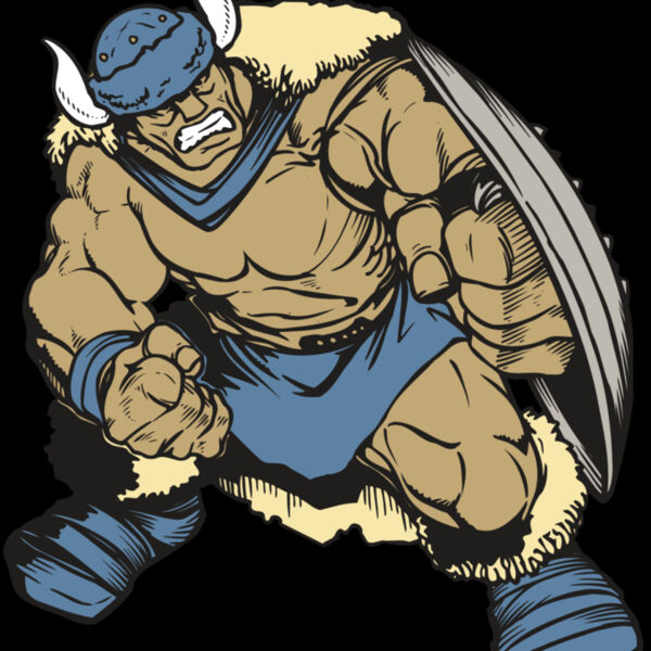 AR VIKING 36 RC Thumbnail