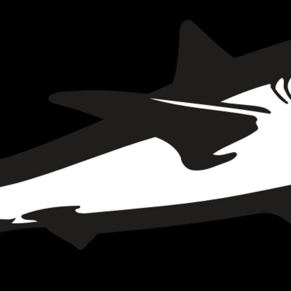 AR5 Shark 15 RQC Thumbnail