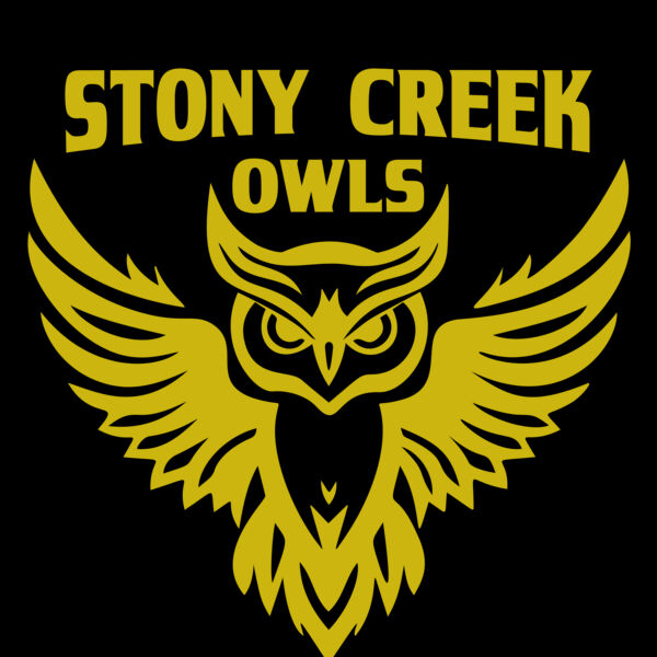 School Owls 04 Thumbnail