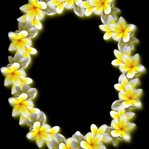 Frangipani2 Thumbnail